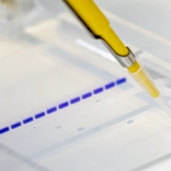 Inspiralis Supporting Innovation with Superior Enzymes