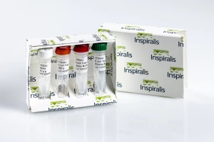 E.coli Topo IV Assay Kit Decat