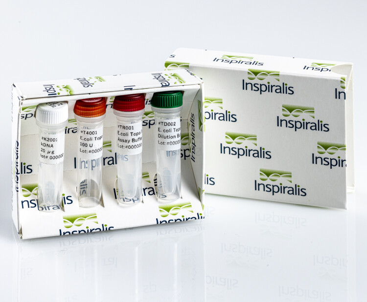 E.coli Topo IV Assay Kit Decat
