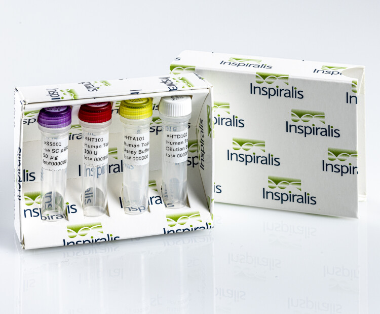 Human Topo I Assay Kit Relax