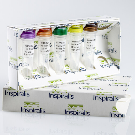 Human Topo II Alpha Assay Kit Relax