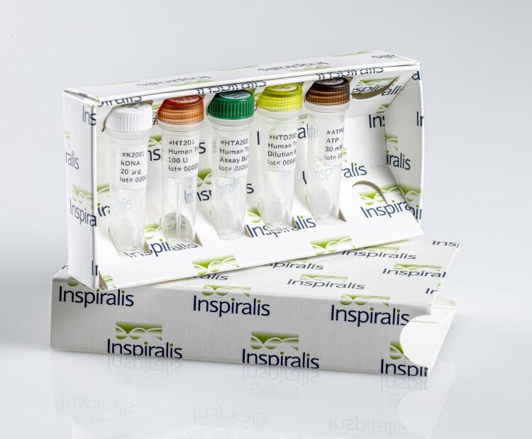 Human Topo II Assay Kit Alpha Decat