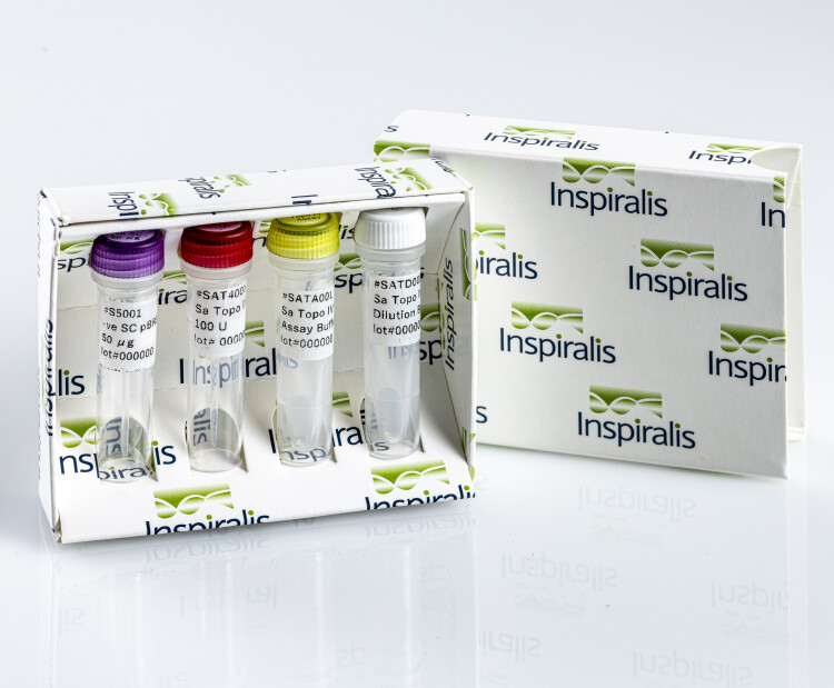 S.a Topo IV Assay Kit Relax