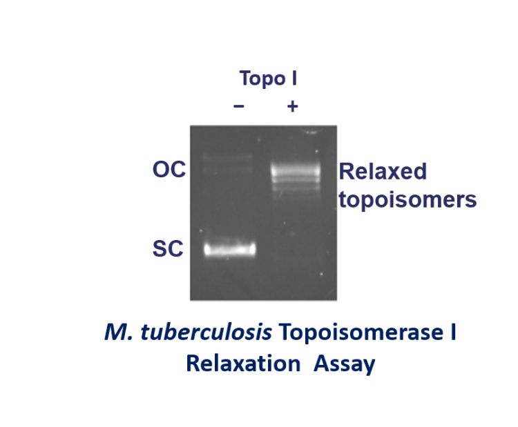 Screenshot 2024 01 30 160854 v2