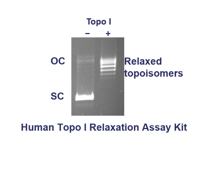 Screenshot 2024 01 30 161450