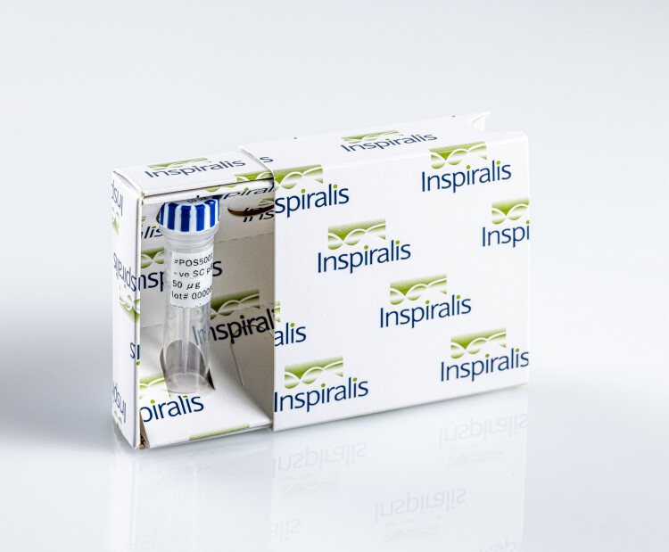 Substrate Positively SC pBR